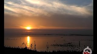 Озеро Айдаркуль. Рыбалка. Птицы Узбекистана.