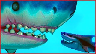 Feed and Grow Fish ЗУБАСТАЯ АКУЛА Против ПИРАНЬИ видео от Фаника. для детей.