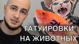 Татуировки на животных