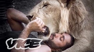 The Illegal Big Cats of Instagram