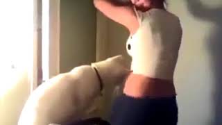 Even cat cant sit Девушка совратила кота!  Ржач