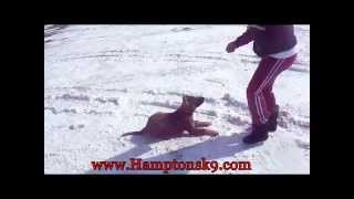 Lazko Haterproof von Stan and Owner Kristina