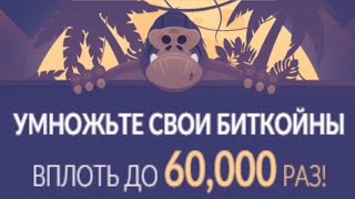Умножьте свои биткоины вплоть до 60 000 РАЗ!