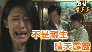 《回甘情多多》EP243 不是親生 晴天霹靂