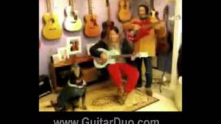 Knuckles the Dog sings with Newman & Oltman Guitar Duo