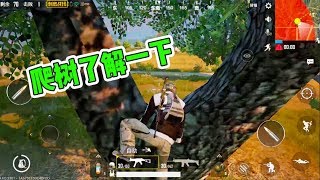 刺激战场：爬树模式上线，现在进入游戏树上全是人！