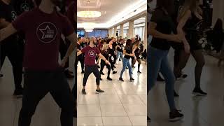 NOTTI BLU || BALLI DI GRUPPO 2023 || Andrea Stella || ALESSANDRA AMOROSO || SHORTS || SHORTSVIDEO