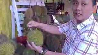 Durian Tutorial