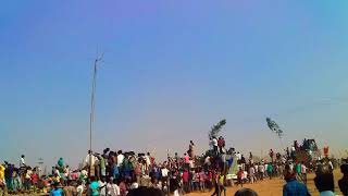 Varna Mangalam Jallikattu festival celebration