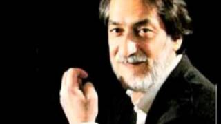 majid entezami