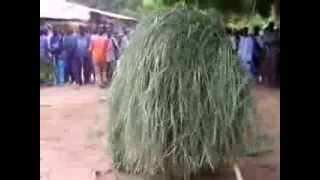 casamance 2009 fete diola 1)