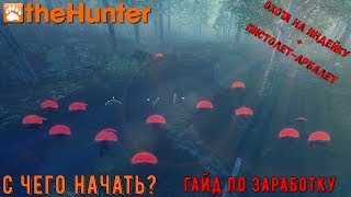 ♢ theHunter Classic ♢ как заработать ♢ гайд по заработку игровой валюты ♢