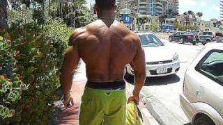Johan Fehd Karouani ( Back Muscles)