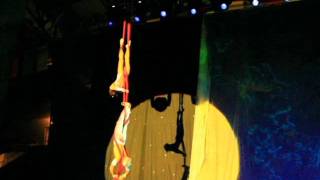 Cirque performers Duo Aerial Silk