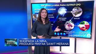 Waspada La Nina, Produksi Minyak Sawit Merana