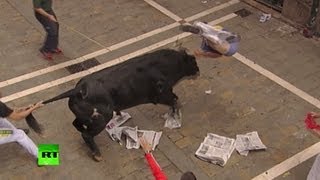 Разъяренные быки забодали 23 человека в Испании