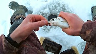 Рыбалка на Реке Зимняя Рыбалка на Подлещика Ловля Сопы (Ловля Зимой) / Bream Fishing – MF №86