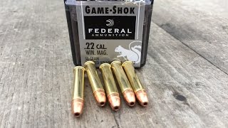 .22WMR/Magnum, 50gr JHP (#757) Federal Game Shok, Testing