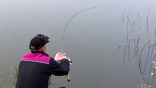 *SURFACE FISHING FOR CARP* Bread Crust / Dappe, Karpe, Karpefiskeri, Medefiskeri - Brød i overfladen