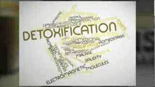 Vitamist detox