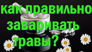 Как правильно заваривать и принимать травяные настои?