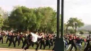 24 Tai Chi Quan 24 式太极拳 李德印