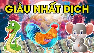 Giới Tử Vi Huyền Bí Tiết Lộ Thiên Cơ, Giúp 3 Con Giáp Thoát Khỏi Đại Nạn, Phất Lên Giàu Khét Tiếng