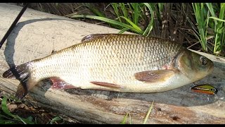 YO ZURI L-MINNOW 44 универсальный воблер по всей рыбе