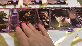Таро. Tarot. Как будут складываться отношения с загаданным человеком в ближайший год.