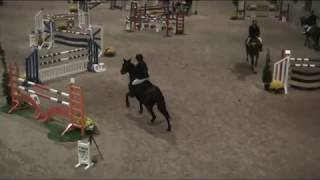 Calypso Indoor Masters 1m20 Ruiterschool