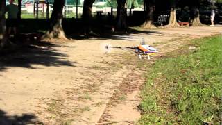2010-09-22 T-REX 250SE 中正河濱公園飛行