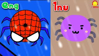 เพลงแมงมุมลายตัวนั้น / ไทย vs ภาษาอังกฤษ