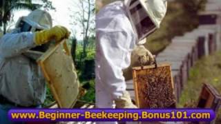 beekeeping books lessons tutorial - beginner beekeeping