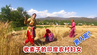 【印度旅行14】深入印度农村，干活的全是妇女，男人呢？ Indian peasant woman