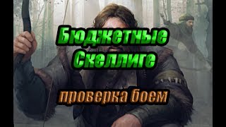 Бюджетная колода Скеллиге. Проверка боем. Гайд 2/2.