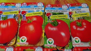 Какие томаты я буду сеять в 2024 году? Показываю сибирские новинки томатов.