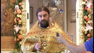 Наши Небесные помощники. Тихое ВСЕМОГУЩЕСТВО Господа. Прот.Андрей Ткачёв (13.08.2017г.)