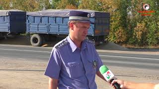 Зерно снова на дороге