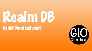 Realm DB nedir? Nasıl Kullanılır?