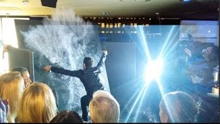 Boris Normand Speed and Glitter Painting, portraits paillettes, live painter, Tableaux paillettes