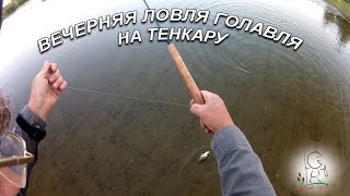 ЛОВЛЯ ВЕЧЕРНЕГО ГОЛАВЛЯ НА ТЕНКАРУ. р.Урал