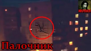 Истории на ночь - Палочник: Закрывайте на ночь окна!