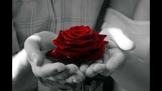 Rose Meditation - Experience the divine touch of a sense - Hindi Meditation with Kalindi Mehta
