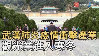 武漢肺炎疫情衝擊產業 觀光業進入寒冬｜寰宇新聞20200210