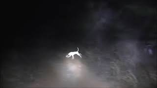 3202