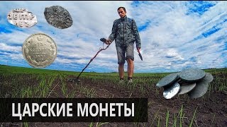 Поиск монет на поле c металлоискателем. X-Terra 305.
