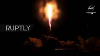 USA: SpaceX Crew-3 Mission launches to ISS