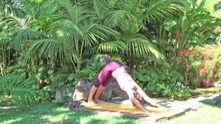 Yoga Flow: Sonnengruss