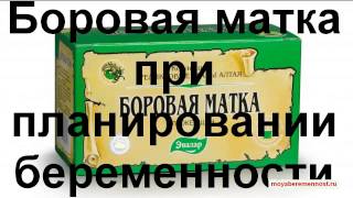 Боровая Матка при Беременности