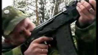 Сайга 12
